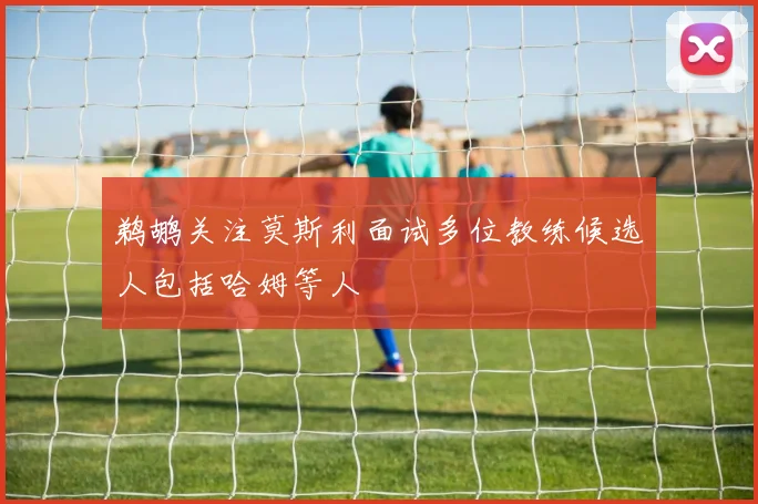 鹈鹕关注莫斯利面试多位教练候选人包括哈姆等人
