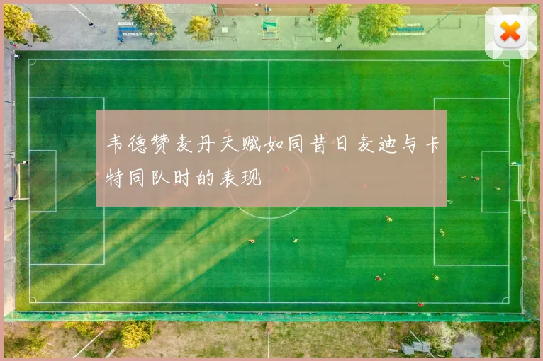 韦德赞麦丹天赋如同昔日麦迪与卡特同队时的表现