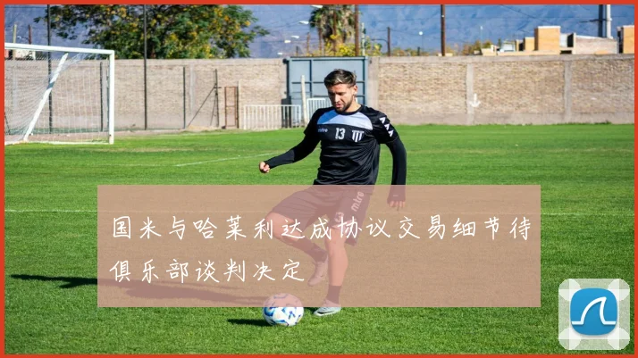国米与哈莱利达成协议交易细节待俱乐部谈判决定